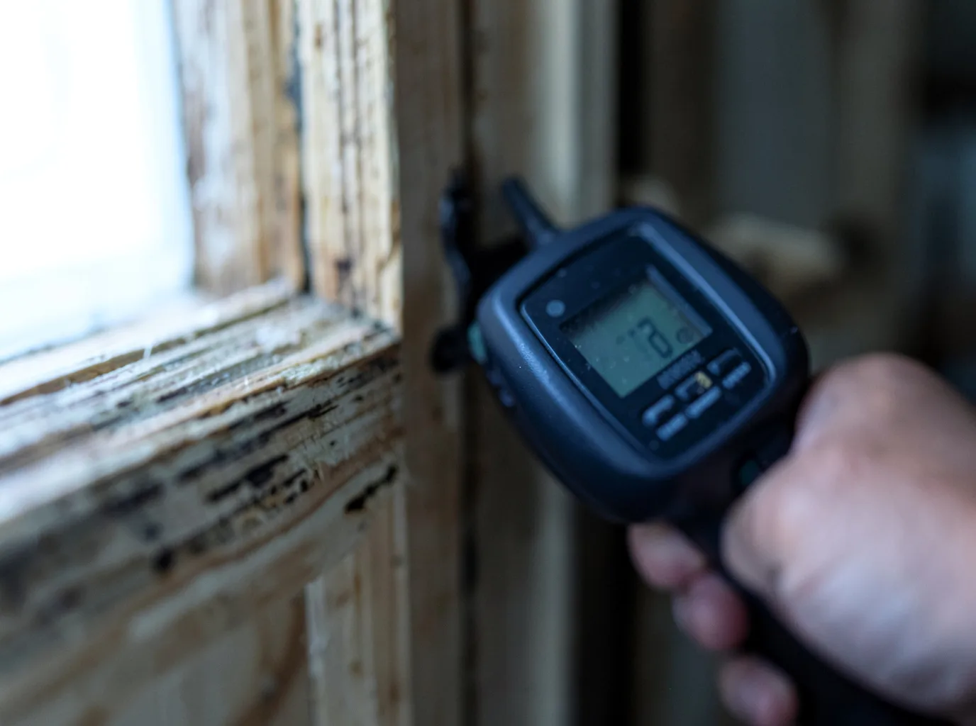 Water Damage Restoration Clam Gulch, AK FAQs